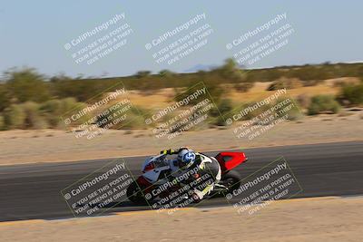 media/Nov-11-2023-SoCal Trackdays (Sat) [[efd63766ff]]/Turn 10 Inside (120pm)/